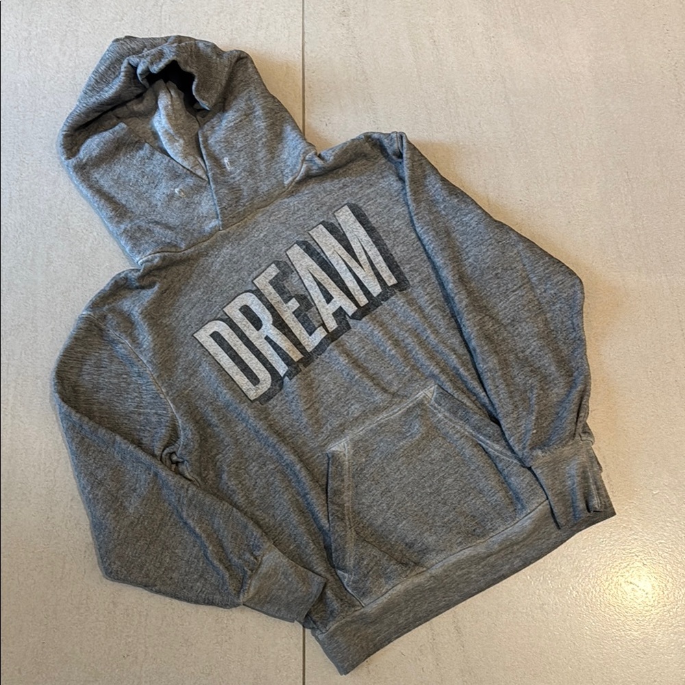 Wildfox Gray Sweater with “Dream” Print